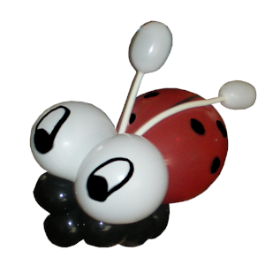 Balloon Ladybird